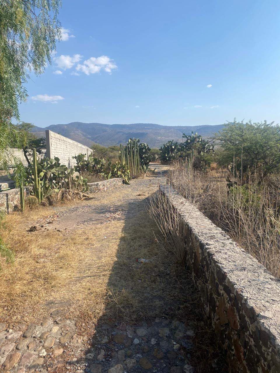 ALCOCER LAND - Image 3