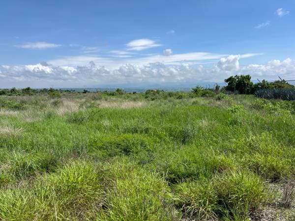 Lomas del Sur 1000M2 - Image 4