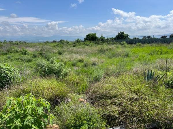 Lomas del Sur 1000M2 - Image 5