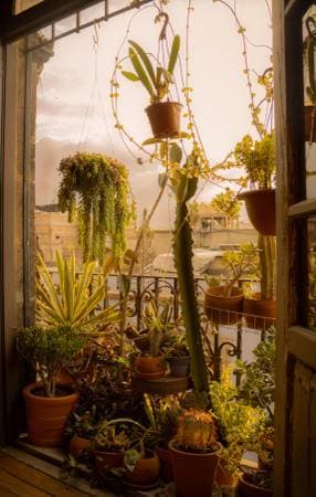 LGBTQ+ friendly shared apartment in Mexico City center near Zocalo - Image 4