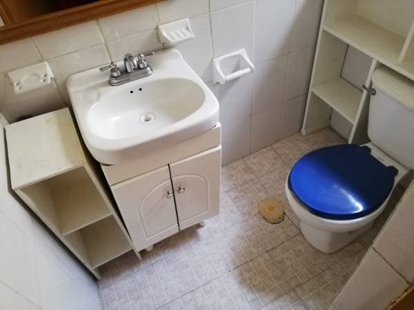 Roommate Welcomed - Image 5