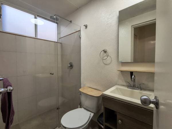 Furnished Room at Roma Norte Mexico City (EN/FR) - Image 3