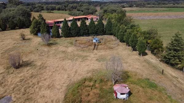 For Sale Ranch 3.5 Hectares With Houses, Stables, Corrals In San Miguel - Image 2