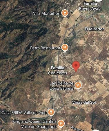 For Sale: Land in the heart of Valle de Guadalupe - Image 3