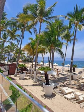 1 bedroom condo at ICON beachfront condominios lterm lease - Image 2