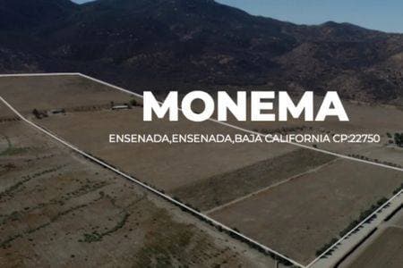 For Sale: Beautiful Land in Valle de Guadalupe - Image 3