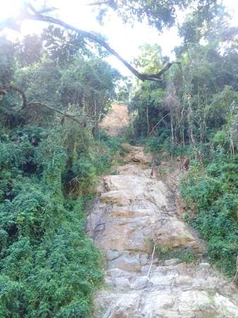 10 hectares in Pluma Hidalgo - Image 2