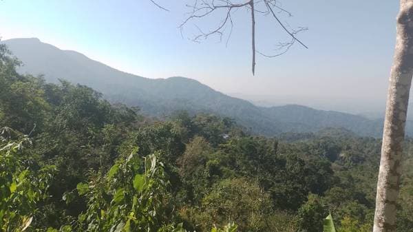 10 hectares in Pluma Hidalgo - Image 4