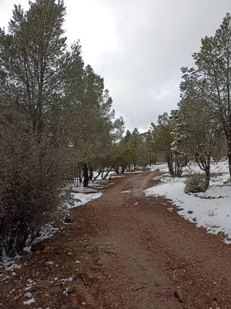 Large Rural Lots of 1000m2