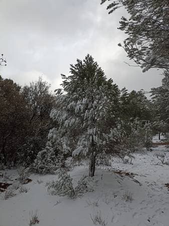 Large Rural Lots of 1000m2 - Image 5