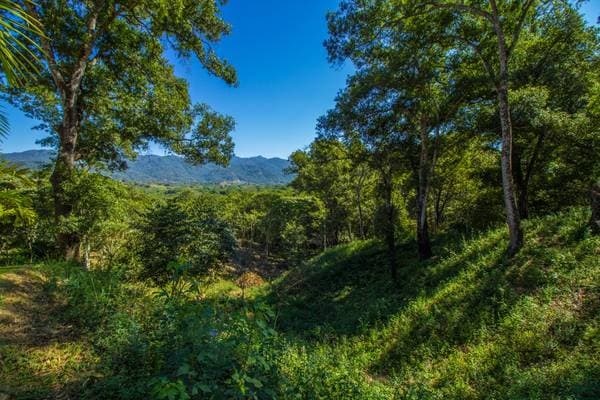 Lot El Tuito - Tierra Alta