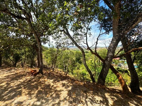 Lot El Tuito - Tierra Alta - Image 2