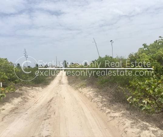 No.5317 FR3SH MEX PESOS 7 LANDS FOR SALE CLOSE TO THE BEACH NICE AREA - Image 2