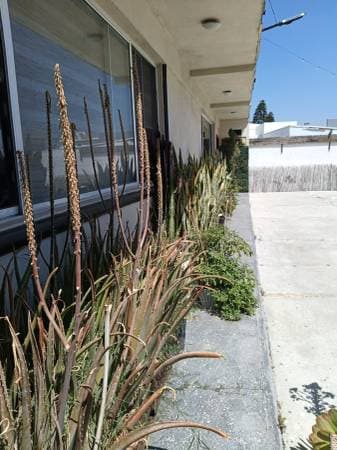 Private, peaceful & Safe Studio apartment - Image 4