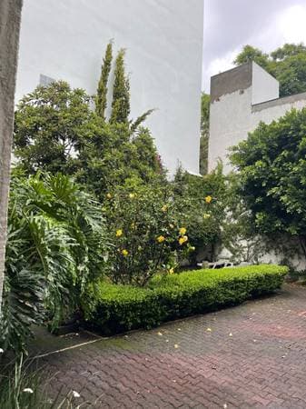 Coyoacan Downtown Outstanding House In A Corner Front Park For Sale - Image 5