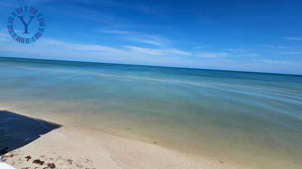 Oceanfront Home in Telchac Puerto - Image 4