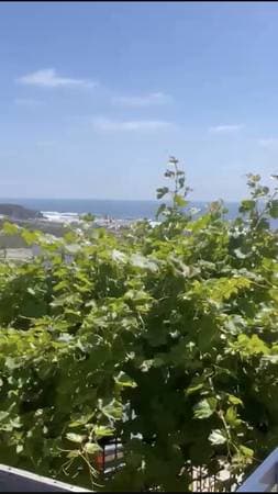 Ocean, mountain & river views steps to the river & ocean