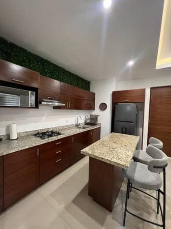 Modern Apartment for Rent in Versalles, Puerto Vallarta - Image 5