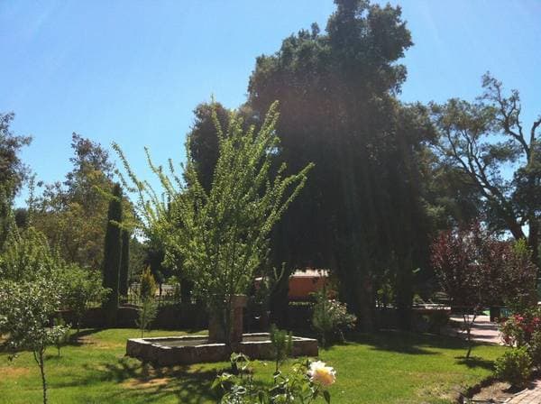 📍Land for Sale Rancho Santa Veronica, Tecate - Image 5