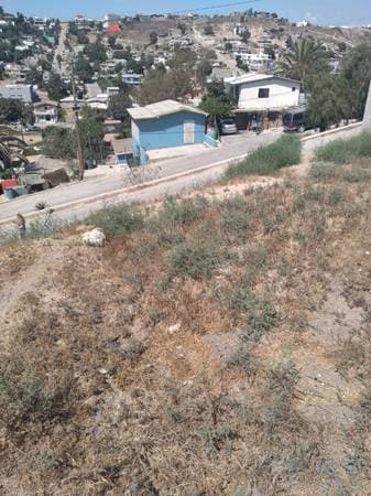 Ocean view lot 300 m2 Plan Libertador Rosarito - Image 2