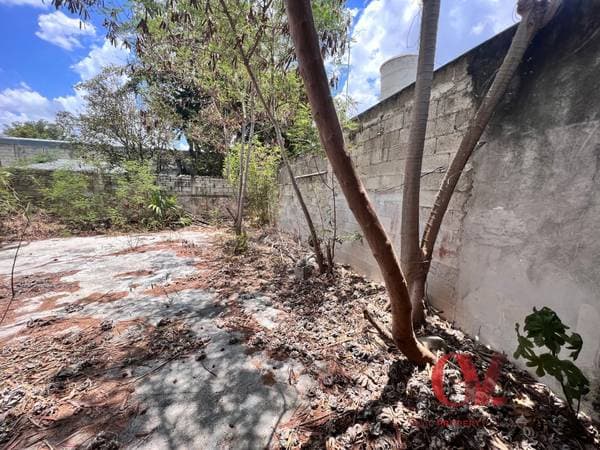 Single-Story Colonial House In Downtown For Renovation $ Pesos - Image 4