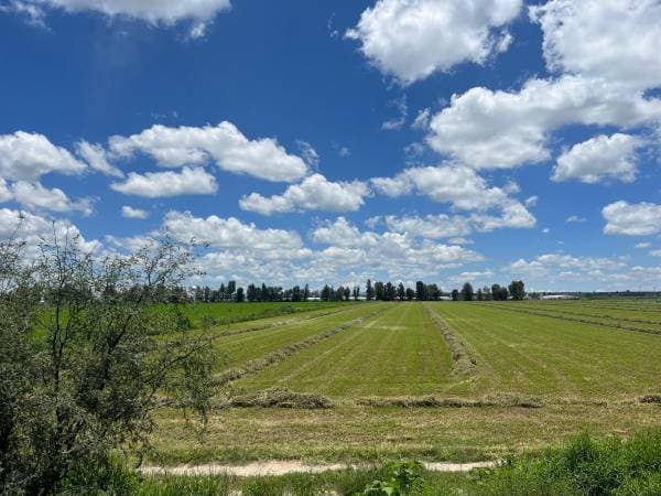 Affordable Agricultural Ranch 54 Hectares With Well, Water Concession, In Dolores Hidalgo - Image 2