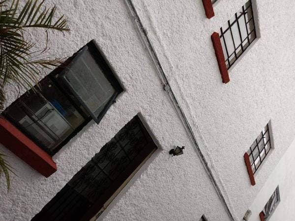 Renting Bedrooms in Shared Apartment Corredor Reforma