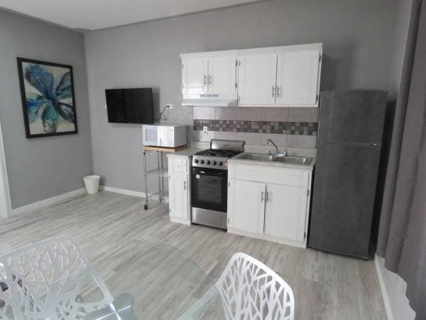 One Bedroom Fully Furnished Unit / Tijuana - Image 3