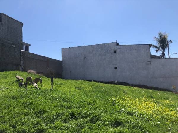 2 Lots With Ocean View - Image 2