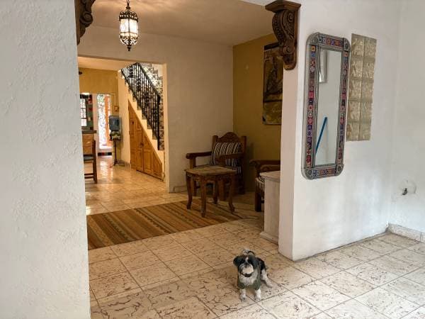 San Miguel de Allende walk to Centro/Parroquia $190K USD or lease - Image 3