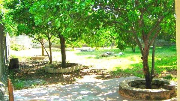 In Merida Yucatan, House For Sale In North Zone - Image 3