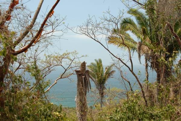 Land For Sale 5000m2 Las Lomas - Image 5