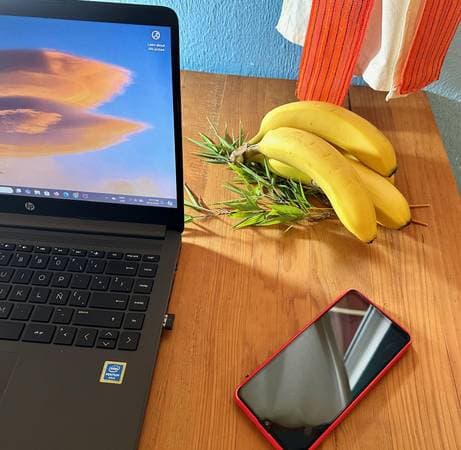 Nature lovers place - Image 5