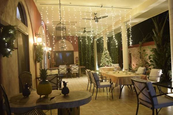 For sale 5.7 ACRE FAMILY COMPOUND - TROPICAL PARADISE - Image 4