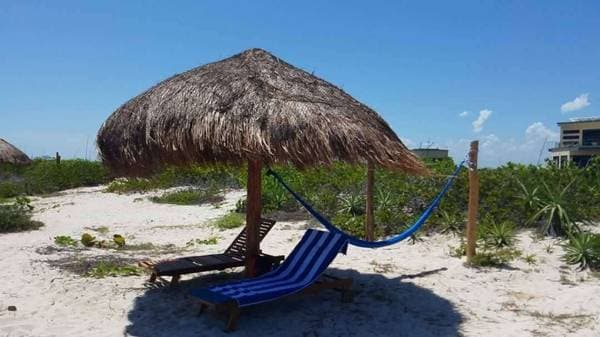 Rio Lagartos Beachfront House with 4 bedrooms, 5 bathrooms, 3+ ha - Image 4