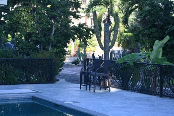 Welcome to the Jungle - Image 3