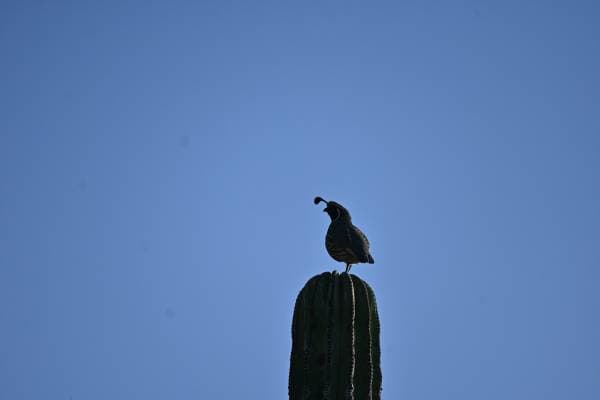 Welcome to the Jungle - Image 4