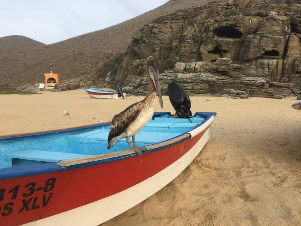 Welcome to the Jungle - Image 5