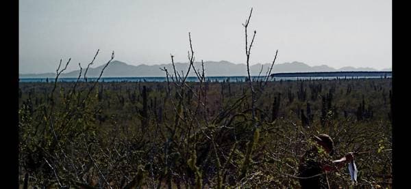 Tiny Houses On Private Lot - Image 3
