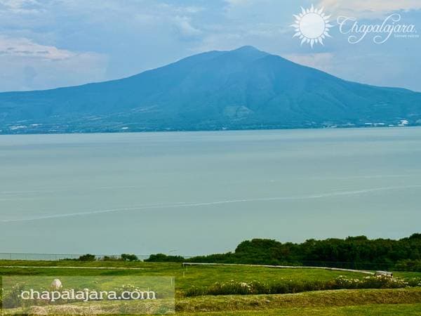 Makbite, Lot 6 - Image 4