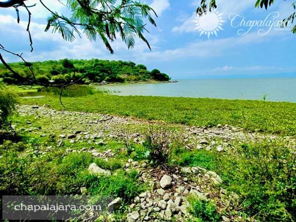 Tlachichilco, Lakefront - Image 5