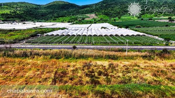 Terreno El Molino 1 - Image 2