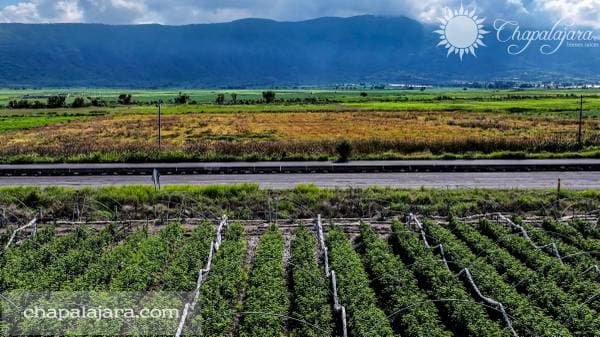 Terreno El Molino 1 - Image 3