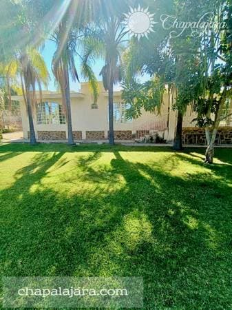 Cedros Casa - Image 4