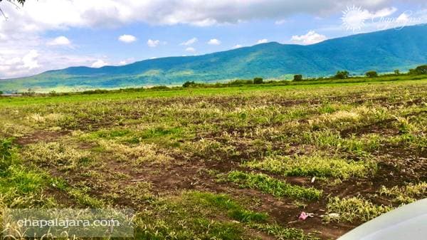 Terreno El Molino - Image 3