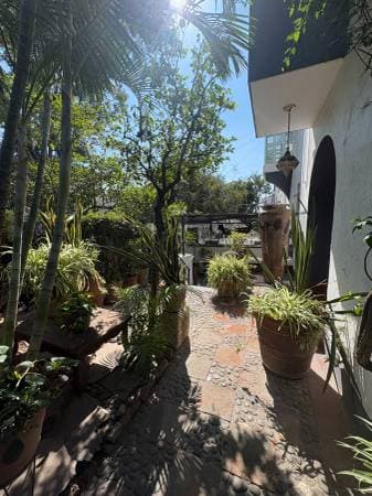 Boutique-Style Loft in the Best Area of Colonia Americana - Image 3