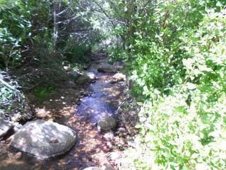 FSBO - Vacant Lot (Property near Lake Arrowhead with Seasonal Creek)