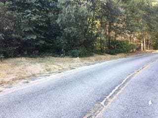 FSBO - Vacant Lot (Property near Lake Arrowhead with Seasonal Creek) - Image 4