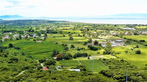 Terreno Chapala Premiere - Image 2