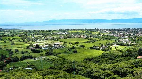Terreno Chapala Premiere - Image 4